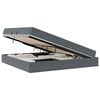 vidaXL Opbergbed met matras Donkergrijs 200 x 200 cm Fluweel