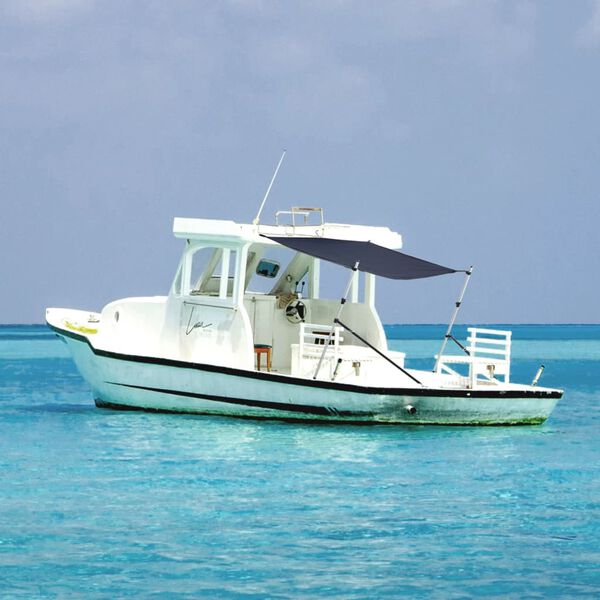 vidaXL Schaduwdoek T-top 170x208x(115-183) cm marineblauw