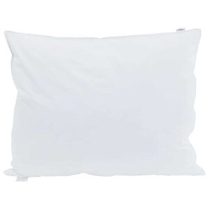 vidaXL Hoofdkussen met kussen 2 pcs Wit 40 x 60 cm Veren