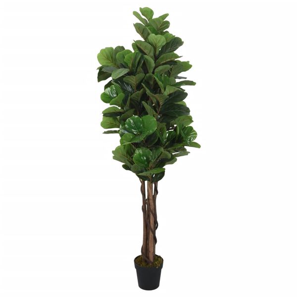 Productafbeelding 1 van 5