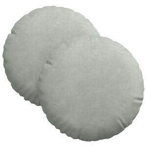 vidaXL Zitkussens 2 st Fluweel Lichtgrijs &Oslash;30 x 13 cm