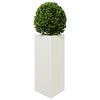 Miniatuurafbeelding van het product 4 van 12