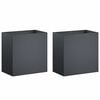 vidaXL Plantenbak 2 st Antraciet 50 x 30 x 40 cm Koudgewalst staal