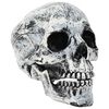 vidaXL Halloween doodskop SPOOKA 2 st Wit 12 x 15 x 17.5 cm Kunststof