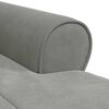 vidaXL Chaise Lounge met kussen Lichtgrijs 91 x 157 x 91 cm Fluweel