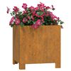 vidaXL Plantenbakken met poten 2 st roestig 30x30x30 cm cortenstaal