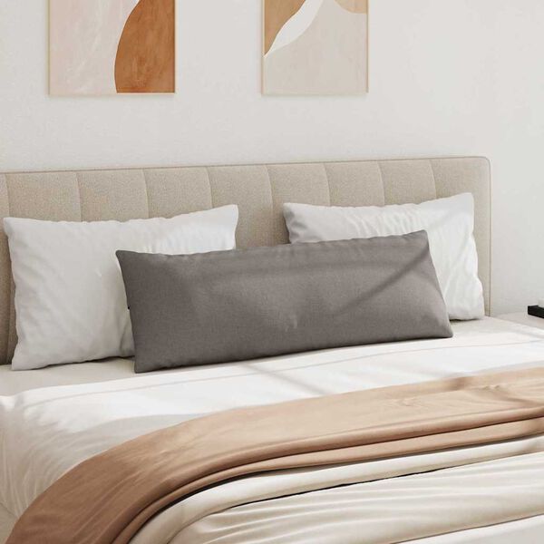 vidaXL Sofa Kussens 2 stuks Taupe 120 x 40 cm Stof