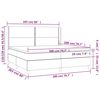 vidaXL Boxspring met matras en LED fluweel lichtgrijs 200x200 cm