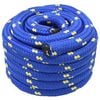 vidaXL Boottouw 5 m 4 Blauw PP