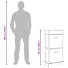 vidaXL Schoenenkast 50x28x98 cm paulowniahout grijs