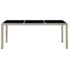 vidaXL 9-delige Tuinset met kussens poly rattan beige