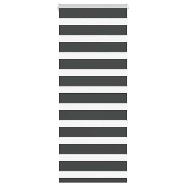 vidaXL Zebra rolgordijn 60x150 cm stofbreedte zwart 55,9 cm