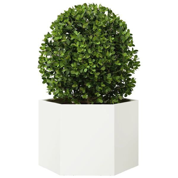 Productafbeelding 3 van 10