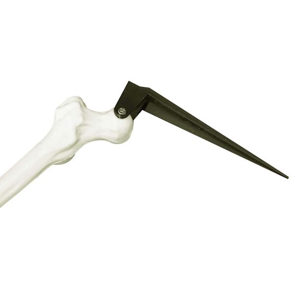 vidaXL Halloween Skelet Wit 45,5 x 13 cm Kunststof