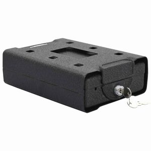 vidaXL Auto Safe met slot Zwart 21.8 x 16 x 7 cm Staal