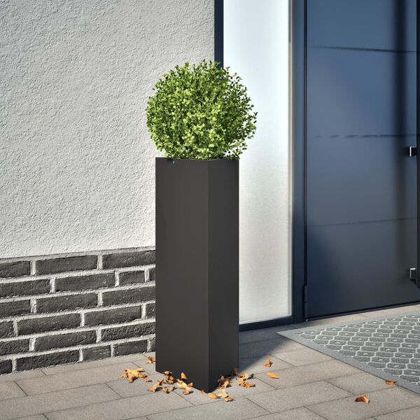 Productafbeelding 2 van 12