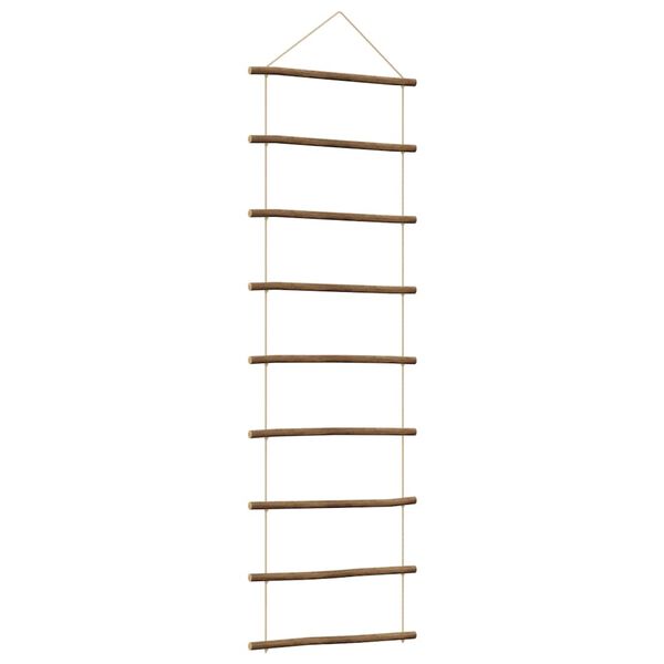 vidaXL Wanddecoratie laddervormig 50x150 cm naturel tak