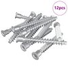 vidaXL Bevestigingsschroeven 12 pcs Zilver &Oslash;7 x 58 mm Metaal