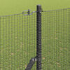 Miniatuurafbeelding van het product 4 van 15