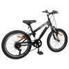 vidaXL Mountainbike 20 Inch 6-Speed voor 5-8 jaar oud Zwart