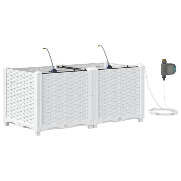 Productafbeelding 1 van 10