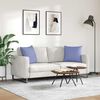 vidaXL Sofa Kussens 2 stuks Blauw 50 x 50 cm Stof