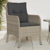 vidaXL Tuinstoelen 2 st met kussens poly rattan lichtgrijs