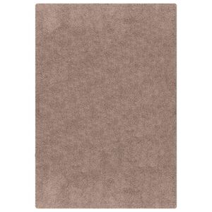 vidaXL Antislip Shaggy Tapijt Bruin 80 x 150 cm PP