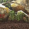 Miniatuurafbeelding van het product 2 van 5