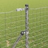 Miniatuurafbeelding van het product 3 van 6
