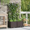 vidaXL Tuin Bloempot 2 pcs Bruin 80 x 40 x 143 cm Kunststof