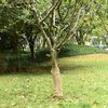 Miniatuurafbeelding van het product 2 van 8