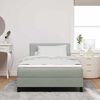 vidaXL Boxspring bed met hoofdeinde Lichtgrijs 120 x 190 cm Fluweel