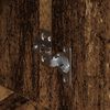 Miniatuurafbeelding van het product 9 van 12