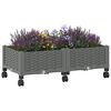 Miniatuurafbeelding van het product 3 van 8