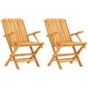 vidaXL Opklapbare stoelen, 2 stuks, 61x67x90 cm, massief teakhout