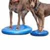 FitPAWS Dierenbalansschijf 36 cm blauw
