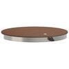 vidaXL Tuin vloershower WPC en RVS 201 Bruin
