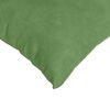 vidaXL Sofa Kussens 2 stuks Lichtgroen 45 x 45 cm Cordstof