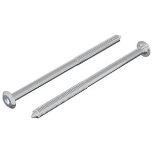 vidaXL Bout 2 pcs Zilver M6 x 100 mm Staal