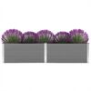 vidaXL Plantenbak verhoogd 250x100x54 cm HKC grijs