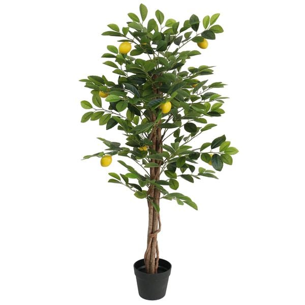 Productafbeelding 1 van 5