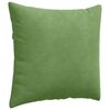 vidaXL Sofa Kussens 2 stuks Lichtgroen 50 x 50 cm Cordstof