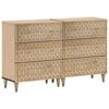 vidaXL Bijzetkasten 2 st 60x33x75 cm massief mangohout