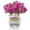 LECHUZA Plantenbak Classico Color 43 ALL-IN-ONE wit 13230