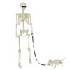 vidaXL Halloween Decoratie Skelet 2 pcs Wit Polypropyleen