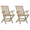 vidaXL Tuinstoelen inklapbaar 2 st 56x61x89 cm massief teakhout grijs