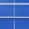 vidaXL Tafeltennistafel 152x76x66 cm met net 152x76x66 cm blauw