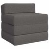 vidaXL Opvouwbare slaapbank Lichtgrijs 70 x 60 x 63 cm Stof