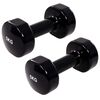 vidaXL Halters 2 st 2x5 kg gietijzer zwart